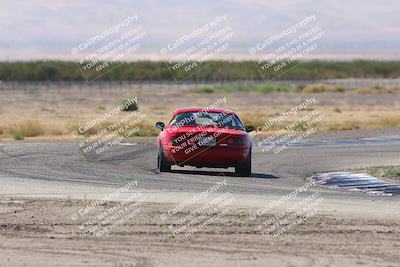 media/Oct-04-2025-OnGrid (Sat) [[44bd565ffa]]/Green Group/Grapevine/